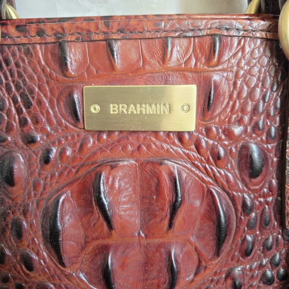 Brahmin gently used